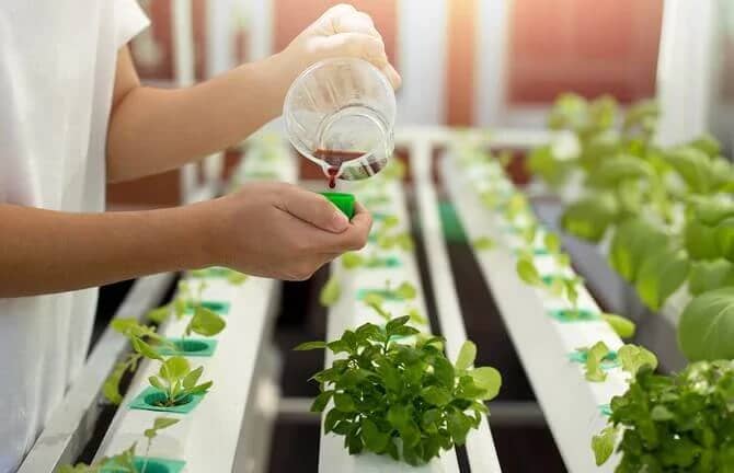 Hydroponic nutrients and supplements on shelves