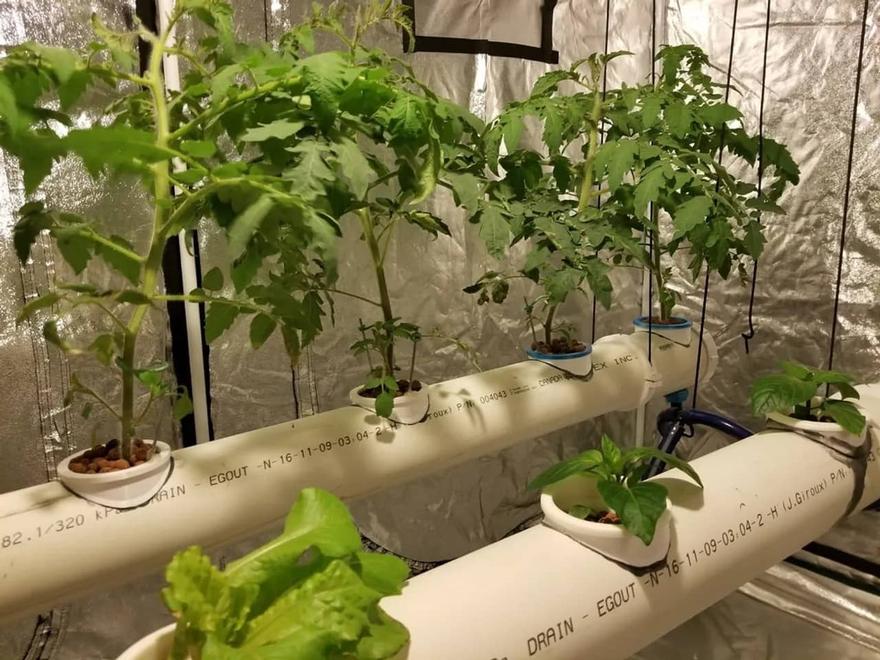 Net pots, buckets, and hydroponic irrigation parts